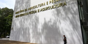 Sete casos de doenças respiratórias em aves são investigados no país