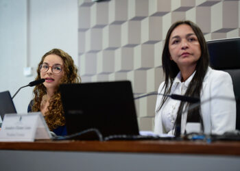 Debate sugere mudanças no projeto sobre multas ambientais e bens apreendidos — Senado Notícias