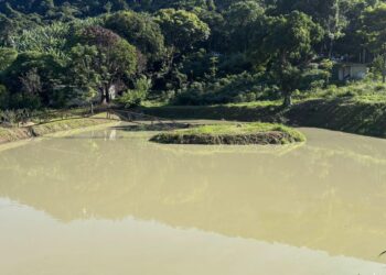 Construção irregular é embargada em área de proteção ambiental no Rio