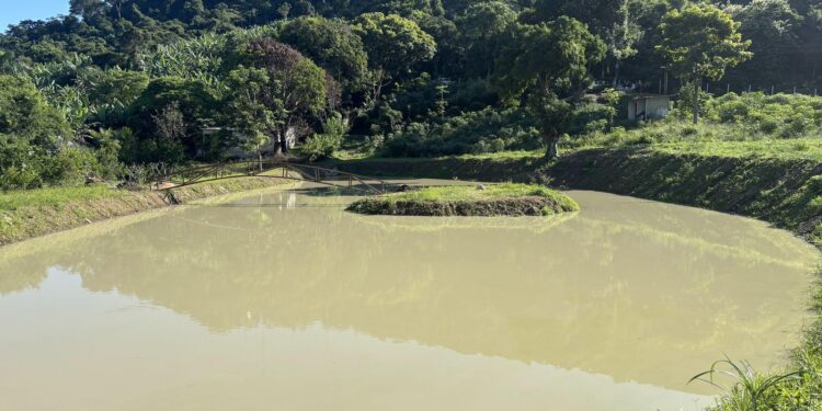 Construção irregular é embargada em área de proteção ambiental no Rio