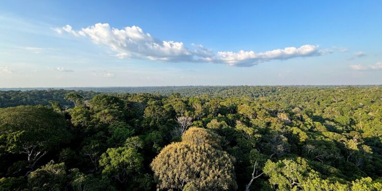 Conheça propostas da população para políticas ambientais