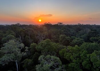 Começa hoje em Brasília a 5ª Conferência Nacional do Meio Ambiente