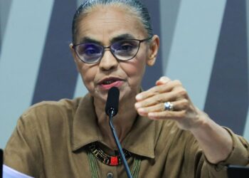 Lula e Marina Silva conversam sobre ataques em comissão do Senado