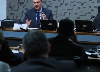 Ministro da Agricultura anuncia que foco de gripe aviária está contido