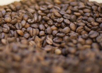 Governo reprova três marcas de café por serem impróprias para consumo