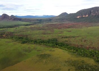 Cerrado: preservação e negócios são tema do Caminhos da Reportagem