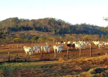 Marco do licenciamento ambiental está na pauta da CRA — Senado Notícias