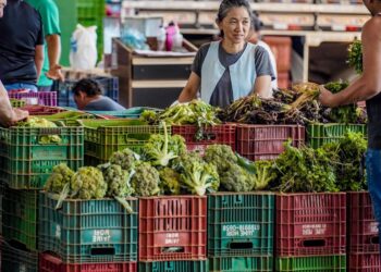 Anvisa inicia monitoramento de resíduos de agrotóxicos em alimentos