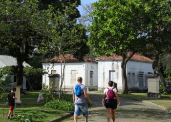 Programação no Mast lembra os 100 anos de visita de Eisntein ao Brasil
