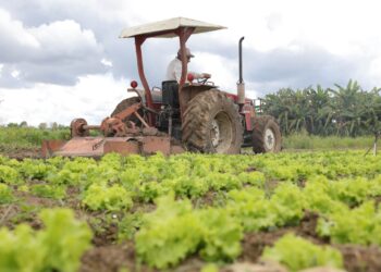 Comissão de Agricultura debate Plano Safra em audiência na quarta — Senado Notícias