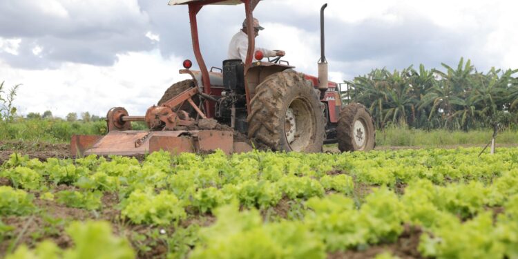 Comissão de Agricultura debate Plano Safra em audiência na quarta — Senado Notícias