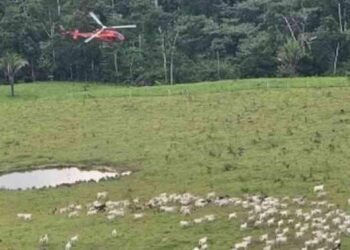 Agentes do ICMBio sofrem atentados em reserva no Acre