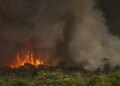 Queimadas atingiram 30 milhões de hectares no país em 2024