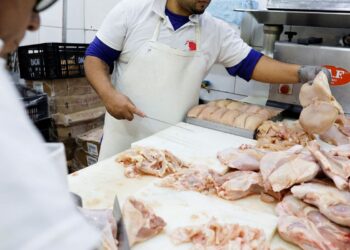 Brasil se declara país livre da gripe aviária