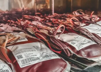 Dia Mundial do Doador de Sangue: uma única doação pode salvar 3 vidas