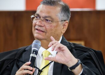 STF não atua por interesse do governo, diz Flávio Dino sobre emendas
