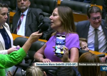 Congresso derruba veto e garante pensão vitalícia a vítimas do Zika vírus — Senado Notícias