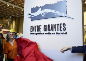 Museu Nacional do Rio reabre para exposição sete anos após incêndio