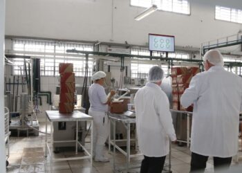 País receberá R$1,3 bi de fundos externos para descarbonizar indústria