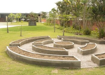 Museu do Pontal lança programação voltada à conscientização ambiental