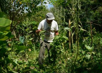 Edital seleciona 36 projetos para fortalecer agricultura familiar