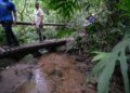 Confira os principais cuidados a serem tomados ao fazer trilhas