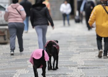 Parque Nacional do Itatiaia registra menor temperatura do ano: -9,4ºC