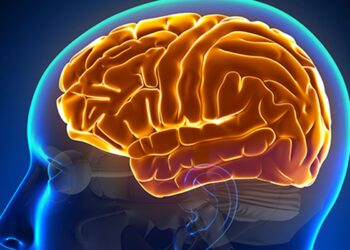 Entenda a hidrocefalia normobárica, causa da cirurgia de Chico Buarque