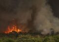 Câmara aprova aumento de punição a quem provocar incêndios florestais
