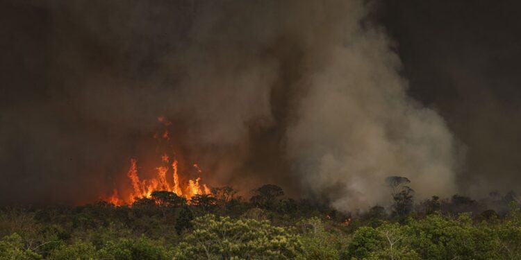 Câmara aprova aumento de punição a quem provocar incêndios florestais
