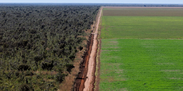 CRE vota ampliação de prazo para registro de imóvel rural em faixa de fronteira — Senado Notícias