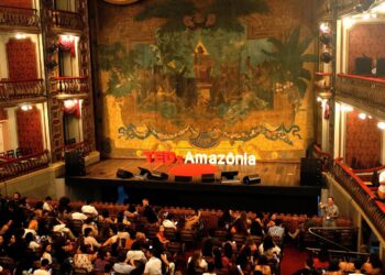 Em ano de COP30, evento em Belém debate restauração da Amazônia