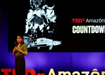 Preservar a Amazônia é questão de segurança nacional, diz especialista