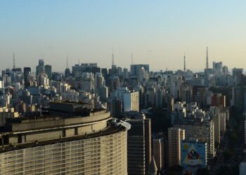 Prédios com vidraças nas cidades ameaçam aves, aponta pesquisa