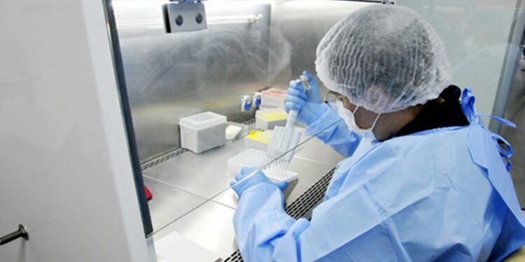 Senado vai homenagear o dia nacional da ciência e dos pesquisadores nesta sexta — Senado Notícias