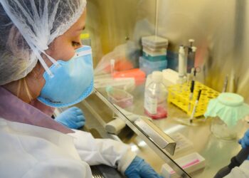 USP: pesquisa de vacina contra zika avança em testes com camundongos