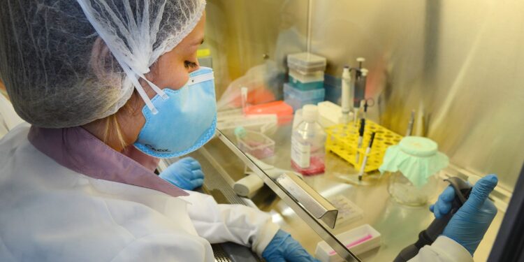 USP: pesquisa de vacina contra zika avança em testes com camundongos