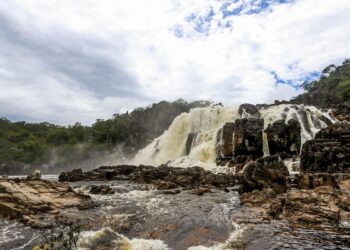 Sistema Nacional de Unidades de Conservação da Natureza faz 25 anos