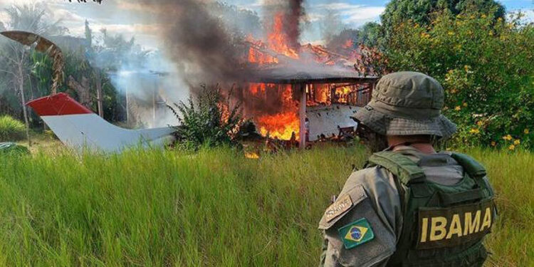 Projeto determina doação de máquinas apreendidas em garimpo ilegal — Senado Notícias