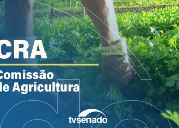 Comissão de Agricultura analisa projetos de lei – 2/7/25 — Senado Notícias