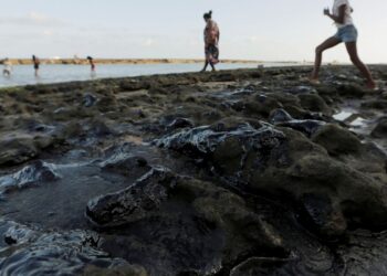 Estrangeiros atrasam investigação sobre óleo no litoral do Nordeste