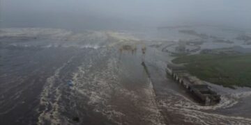 Após terremoto, Japão, Havaí e Rússia rebaixam alertas de tsunami