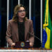 Leila deixa liderança da Bancada Feminina com apelo à continuidade das lutas — Senado Notícias