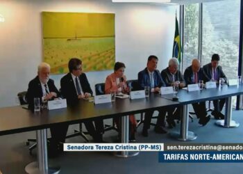 Ação de comitiva de senadores nos EUA tem balanço positivo, diz Tereza Cristina — Senado Notícias