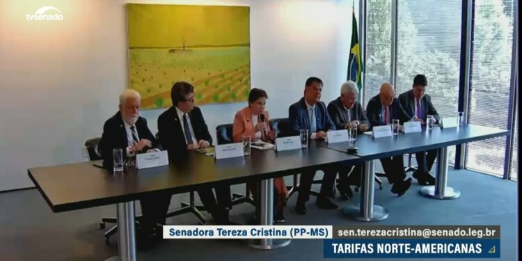 Ação de comitiva de senadores nos EUA tem balanço positivo, diz Tereza Cristina — Senado Notícias
