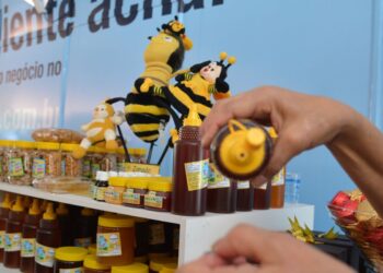 Lula sanciona lei que devolverá impostos de pequenos exportadores