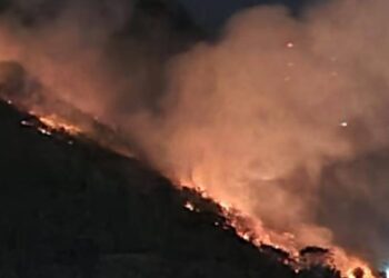 Lula lamenta morte de servidores do IBGE em combate a incêndio