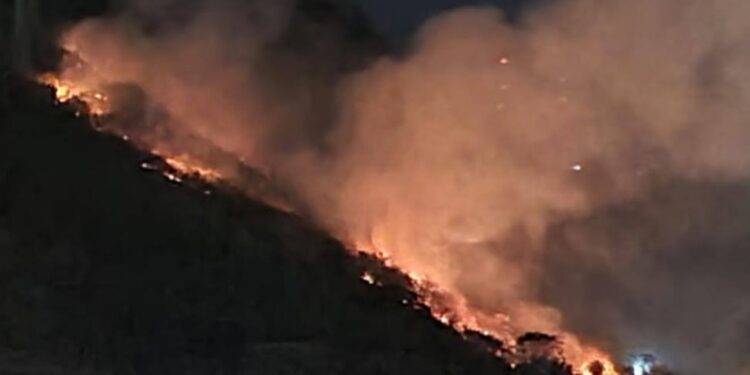 Lula lamenta morte de servidores do IBGE em combate a incêndio