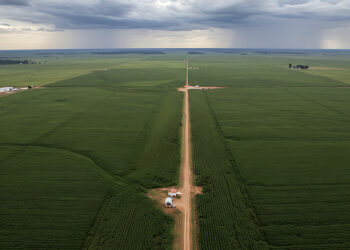 senadores querem resolver regularização fundiária — Senado Notícias