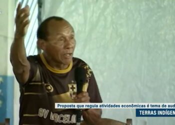 Debate evidencia controvérsia sobre atividades econômicas em terras indígenas — Senado Notícias